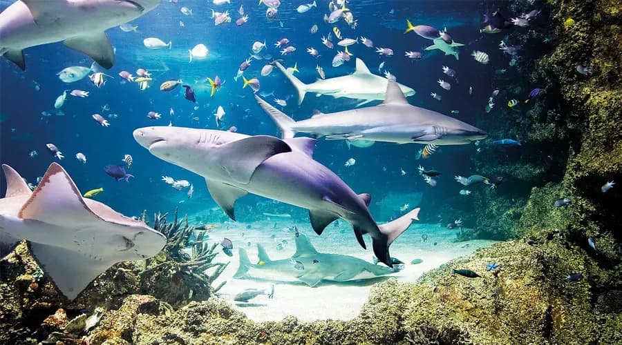 Easy Access and Great Facilities