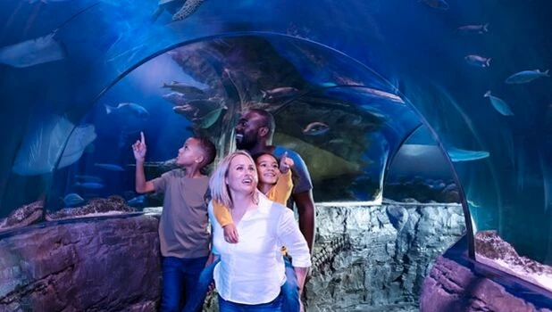 Perfect for Families and All Ages