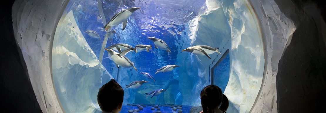 Unique Marine Encounters