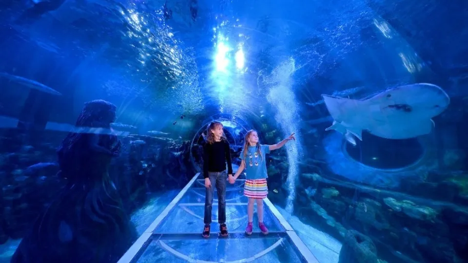 SEA LIFE Birmingham - Image 1